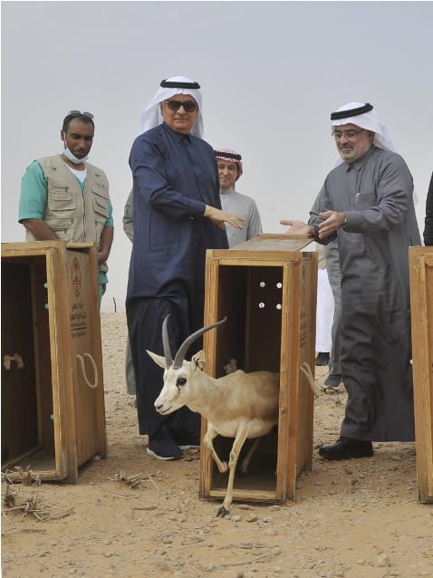 مركز الملك خالد لأبحاث الحياة الفطرية