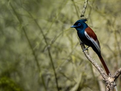 Screenshot 2026-03-25 153619