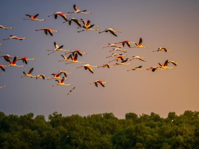 Screenshot 2026-03-25 153912