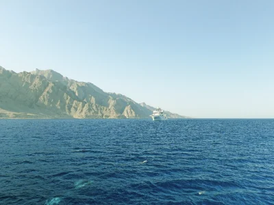 WL 2025-12-29 at 1.29.47 PM