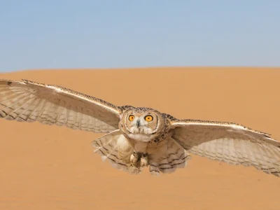 WL 2025-12-29 at 1.30.14 PM