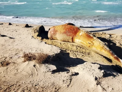 WL 2025-12-29 at 1.30.40 PM